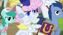 Size: 1920x1080 | Tagged: safe, screencap, blues, noteworthy, pearly stitch, spring melody, sprinkle medley, earth pony, pony, fame and misfortune, g4, animated, book, discovery family logo, female, friendship journal, male, mare, pointing, sound, stallion, webm