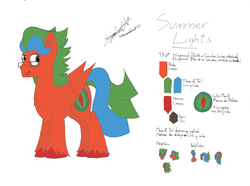 Size: 2091x1555 | Tagged: safe, artist:summerium, oc, oc only, oc:summer lights, pegasus, pony, chest fluff, glasses, male, mixed art, reference sheet, solo, spanish, stallion, text, unshorn fetlocks