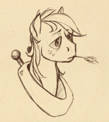 Size: 762x851 | Tagged: safe, artist:skrapbox, big macintosh, earth pony, pony, g4, food, horse collar, male, monochrome, pencil drawing, solo, stallion, straw in mouth, traditional art, wheat