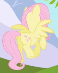 Size: 236x297 | Tagged: safe, screencap, fluttershy, pegasus, pony, friendship is magic, g4, butt, cropped, female, mare, plot, solo, spread wings, wings