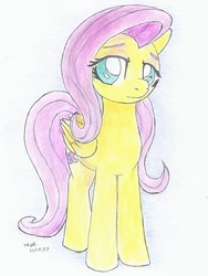 Size: 700x930 | Tagged: safe, artist:astevenamedwolf, fluttershy, pegasus, pony, g4, female, solo, traditional art