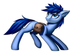 Size: 2268x1548 | Tagged: safe, artist:setharu, oc, oc only, oc:p-21, earth pony, pony, fallout equestria, fallout equestria: project horizons, male, saddle bag, simple background, solo, stallion, transparent background