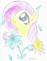 Size: 740x950 | Tagged: safe, artist:astevenamedwolf, fluttershy, pegasus, pony, g4, bust, female, flower, looking away, looking up, petals, portrait, smiling, solo, traditional art, wings