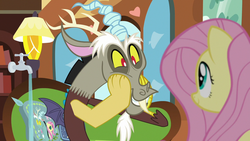 Size: 1280x720 | Tagged: safe, screencap, discord, fluttershy, draconequus, pony, discordant harmony, g4, couch, cushion, cute, discute, duo, duo male and female, faucet, female, fluttershy's cottage (interior), lamp, male, mare, smiling, squee