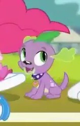 Size: 180x284 | Tagged: safe, screencap, spike, spike the regular dog, dog, equestria girls, g4, my little pony equestria girls: better together, the finals countdown, cropped, male, paws, puppy, smiling