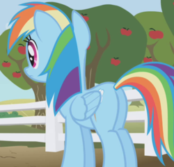Size: 735x706 | Tagged: safe, screencap, rainbow dash, pegasus, pony, g4, the ticket master, butt, cropped, female, mare, plot, rear view, solo