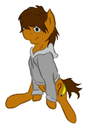 Size: 1172x1523 | Tagged: safe, artist:speedpaintthegod, oc, oc only, oc:neat sketch scribble, earth pony, pony, 2018 community collab, derpibooru community collaboration, clothes, cutie mark, hoodie, simple background, solo, transparent background
