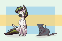 Size: 1920x1280 | Tagged: safe, artist:shiro-roo, oc, oc only, oc:greeny the zeeb, cat, zebra, abstract background, chest fluff, male, raised leg, sitting, tongue out, zebra oc