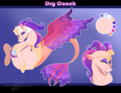 Size: 1248x960 | Tagged: safe, artist:bijutsuyoukai, oc, oc only, oc:dry conch, seapony (g4), g4, my little pony: the movie, female, magical lesbian spawn, offspring, parent:queen novo, parent:somnambula, parents:novonambula, reference sheet, solo