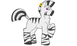 Size: 4320x2590 | Tagged: safe, artist:moonrunes, oc, oc only, oc:silah, zebra, ear piercing, earring, jewelry, male, piercing, raised hoof, simple background, stripes, tail wrap, transparent background, unshorn fetlocks, zebra oc