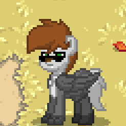 Size: 246x246 | Tagged: safe, oc, oc only, oc:chimera (furry), pony, wolf, pony town, clothes, furry, glasses, gloves, screenshots