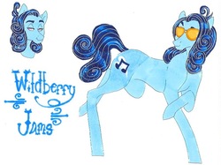 Size: 795x595 | Tagged: safe, artist:frozensoulpony, oc, oc only, oc:wildberry jams, earth pony, pony, earth pony oc, eyebrows, full body, male, offspring, parent:party favor, parent:pinkie pie, parents:partypie, simple background, solo, stallion, sunglasses, traditional art, white background
