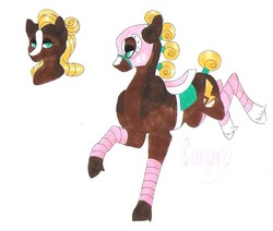 Size: 698x591 | Tagged: safe, artist:frozensoulpony, oc, oc only, oc:canary, earth pony, pony, bandage, blaze (coat marking), coat markings, facial markings, female, mare, mask, offspring, parent:fluttershy, parent:trouble shoes, saddle, socks (coat markings), solo, tack, tail wrap, traditional art