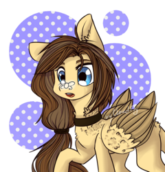 Size: 1024x1068 | Tagged: safe, artist:cloud-fly, oc, oc only, oc:steffanie, fly, pegasus, pony, collar, female, mare, solo