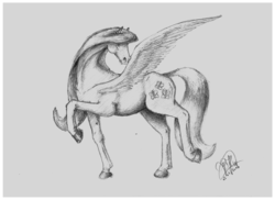 Size: 7015x5100 | Tagged: safe, artist:radiatingcalm, fluttershy, pegasus, pony, g4, absurd resolution, drawing, female, grayscale, hoers, mare, monochrome, pencil drawing, realistic anatomy, realistic horse legs, signature, solo, traditional art
