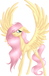Size: 553x849 | Tagged: safe, artist:sychia, fluttershy, pegasus, pony, g4, chest fluff, ear fluff, eye clipping through hair, female, floppy ears, looking at you, mare, simple background, smiling, solo, spread wings, standing, three quarter view, transparent background, wings