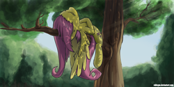 Size: 2000x1000 | Tagged: safe, artist:rublegun, fluttershy, pegasus, pony, g4, crepuscular rays, dappled sunlight, eyes closed, female, mare, on back, outdoors, sleeping, solo, tree, tree branch, wings