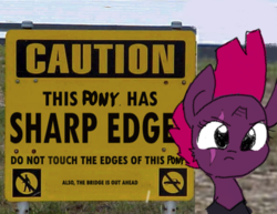 Size: 2040x1576 | Tagged: safe, artist:tjpones, tempest shadow, pony, unicorn, g4, my little pony: the movie, broken horn, caution sign, cute, edgehorse, edgy, female, horn, mare, solo, tempestbetes