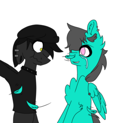 Size: 3000x3000 | Tagged: safe, artist:icicle-niceicle-1517, artist:thepon7, oc, oc only, oc:nightshade eclipse, oc:sunny dew, pegasus, pony, wingless bat pony, beanie, clothes, collaboration, collar, crying, duo, ear piercing, earring, feather, hat, high res, jacket, jewelry, laughing, leather jacket, lip bite, lip piercing, male, piercing, simple background, spiked collar, stallion, tears of laughter, tickling, transparent background, wavy mouth, wing piercing