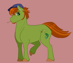 Size: 2008x1754 | Tagged: safe, artist:ganashiashaka, oc, oc only, oc:swamp apple, earth pony, pony, male, offspring, parent:big macintosh, parent:sugar belle, parents:sugarmac, pink background, simple background, solo, stallion