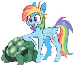 Size: 820x716 | Tagged: safe, artist:xenon, rainbow dash, tank, pegasus, pony, g4, cute, dashabetes, duo, female, folded wings, looking at each other, mare, simple background, smiling, transparent background, unshorn fetlocks