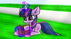 Size: 1043x581 | Tagged: safe, artist:ggchristian, twilight sparkle, pony, unicorn, g4, book, female, magic, prone, reading, solo