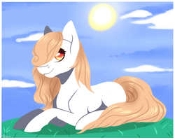 Size: 4000x3200 | Tagged: safe, artist:shkura2011, oc, oc only, earth pony, pony, female, high res, mare, prone, solo