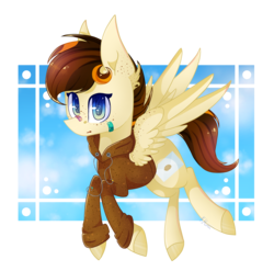 Size: 3216x3176 | Tagged: safe, artist:wintersnowy, oc, oc only, pegasus, pony, high res