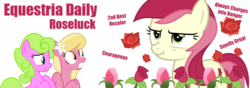 Size: 1000x350 | Tagged: safe, daisy, flower wishes, lily, lily valley, roseluck, earth pony, pony, equestria daily, g4, flower, flower trio, nose wrinkle, rose, scrunchy face, show accurate, text