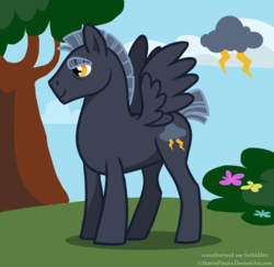 Size: 1484x1440 | Tagged: safe, artist:quailmixalot, oc, oc only, oc:thunderclap, pegasus, pony, bush, cloud, cutie mark, eyebrows, grass, male, sky, solo, stallion, tree, wings