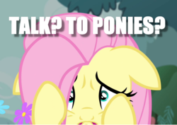 Size: 968x686 | Tagged: safe, fluttershy, pegasus, pony, g4, anxiety, female, floppy ears, headcanon, image macro, meme, neurodivergent, neurodivergent headcanon, shy, social anxiety, solo, terrified