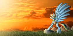 Size: 3200x1600 | Tagged: safe, artist:margo24, rainbow dash, fanfic:austraeoh, g4, element of loyalty, female, goggles, saddle bag, solo, spread wings, wings