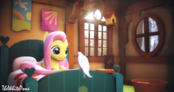 Size: 4096x2160 | Tagged: safe, artist:thewhitepone, fluttershy, dove, pegasus, pony, g4, 3d, cute, female, mare, scenebuild, shyabetes, solo, source filmmaker