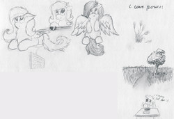 Size: 13123x8976 | Tagged: safe, artist:geljado, fluttershy, rainbow dash, g4, absurd resolution, monochrome, scrapbook, sketch, sketch dump, study