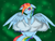 Size: 4000x3000 | Tagged: safe, artist:gondaro, rainbow dash, g4, cute, female, rainbow, solo