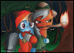 Size: 6700x4800 | Tagged: safe, artist:jacsveus, daring do, rainbow dash, g4, absurd resolution, bandage, forest, night, torch, traditional art, tree