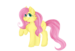 Size: 1600x1080 | Tagged: safe, artist:kateastr0fic, fluttershy, pegasus, pony, g4, chest fluff, female, folded wings, looking at you, raised hoof, simple background, smiling, solo, transparent background