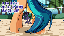 Size: 1920x1080 | Tagged: safe, artist:pixxpal, oc, oc only, oc:break spin, oc:playa "spikeball" azul, earth pony, pony, beach, butt, cap, featureless crotch, female, framed by legs, hat, male, mare, oc x oc, palm tree, plot, rear view, sand, shadow, shipping, spikespin, sports, stallion, straight, tree, volleyball, volleyball net