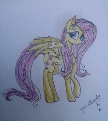 Size: 1463x1641 | Tagged: safe, artist:heart22-art, fluttershy, pony, g4, female, solo, traditional art