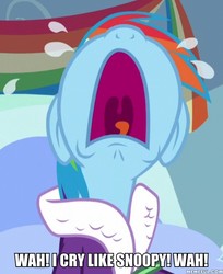 Size: 600x735 | Tagged: safe, edit, edited screencap, screencap, rainbow dash, pegasus, pony, g4, tanks for the memories, clothes, crying, family guy, female, image macro, male, mare, meme, open mouth, rainbow dash is best facemaker, robe, solo, volumetric mouth