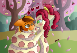 Size: 1090x765 | Tagged: safe, artist:snakeythingy, cherry jubilee, oc, oc:mercfox, lamia, original species, snake pony, g4, blushing, canon x oc, cherry, cherry orchard, coils, food, lamiafied, looking at each other, request, species swap, story included