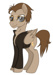 Size: 3445x4823 | Tagged: safe, artist:darkest-lunar-flower, oc, oc only, oc:toffee scotch, pegasus, pony, 2018 community collab, derpibooru community collaboration, clothes, jacket, leather jacket, looking at you, simple background, solo, sunglasses, transparent background