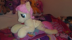 Size: 960x540 | Tagged: safe, artist:blackwater627, artist:ponylover88, fluttershy, g4, broken wing, butterscotch, irl, photo, plushie, repair, rule 63