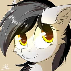 Size: 1000x1000 | Tagged: safe, artist:morningbullet, oc, oc only, oc:noot, earth pony, pony, bust, cheek fluff, chest fluff, cute, ear fluff, female, fluffy, looking back, mare, ocbetes, portrait, signature, simple background, smiling, solo