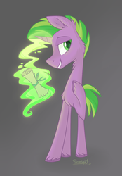 Size: 1024x1471 | Tagged: dead source, safe, artist:flourret, spike, pony, unicorn, g4, glowing horn, gray background, horn, male, ponified, ponified spike, scroll, simple background, smiling, solo, species swap, stallion, unshorn fetlocks