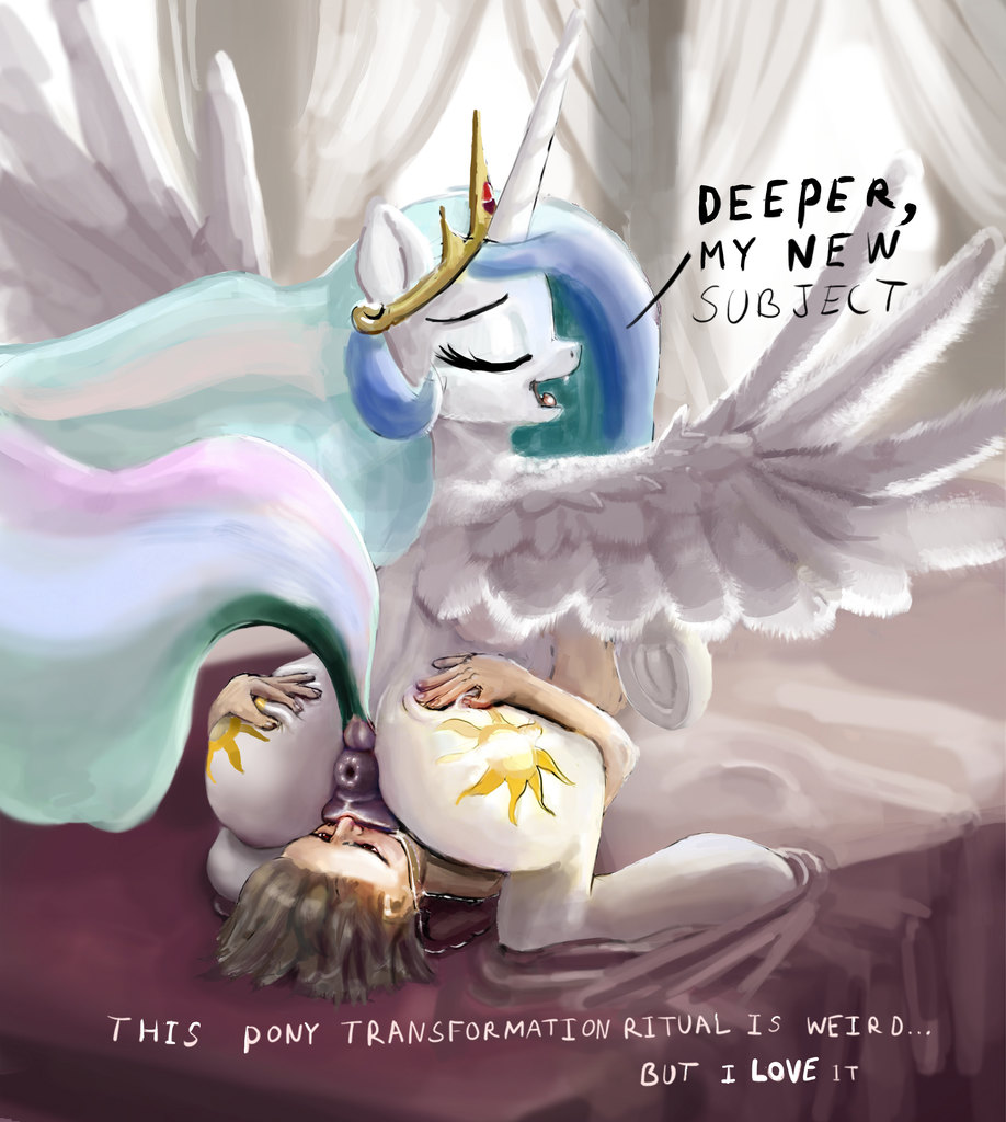 1594481 Explicit Artist Hexado Princess Celestia Human Pony