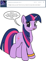 Size: 600x800 | Tagged: safe, artist:dekomaru, twilight sparkle, pony, tumblr:ask twixie, g4, ask, female, solo, tumblr