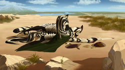 Size: 2560x1440 | Tagged: safe, artist:kirillk, oc, oc only, oc:naro, zebra, zebrasus, cape, clothes, large wings, looking at you, male, on side, savanna, scenery, shaman, solo, stallion, wings, zebra oc