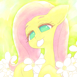 Size: 1791x1791 | Tagged: safe, artist:sigpi, fluttershy, pegasus, pony, g4, bright, bust, cute, eating, eyebrows, female, flower, head tilt, herbivore, hoof hold, horses doing horse things, lidded eyes, mare, no pupils, petals, portrait, shyabetes, smiling, solo