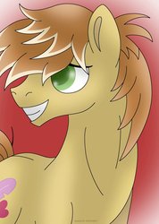 Size: 1024x1441 | Tagged: safe, artist:lavenderrain24, feather bangs, earth pony, pony, g4, hard to say anything, green eyes, male, smiling, solo, stallion